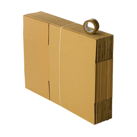 Lot de 20 cartons standard